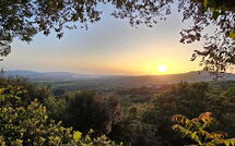 Bild vorgelegt von den Gästen von Poggiolo 