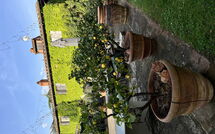 Bild vorgelegt von den Gästen von Podere la Torre 