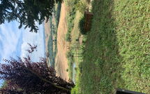 Bild vorgelegt von den Gästen von Lajatico 602 