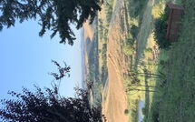 Bild vorgelegt von den Gästen von Lajatico 602 