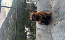 Bild vorgelegt von den Gästen von Belvedere, House with Private Pool and Garden, Rec 