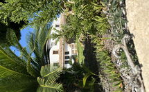 Bild vorgelegt von den Gästen von Villa Finca Labranza 