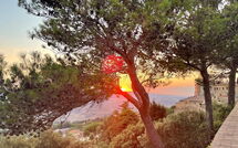 Bild vorgelegt von den Gästen von Podere Santa Lucia 