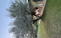 Bild vorgelegt von den Gästen von Villa Il Cipresso 