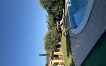 Bild vorgelegt von den Gästen von Villa Il Cipresso 