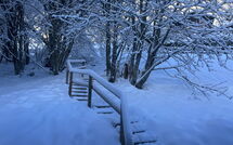 Bild vorgelegt von den Gästen von Chalet 969 