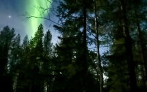 Bild vorgelegt von den Gästen von Harvana 