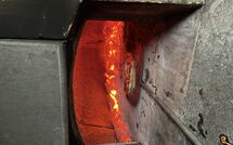 Bild vorgelegt von den Gästen von Giorgio Winery 