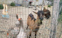 Bild vorgelegt von den Gästen von Bon Port 