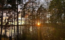Bild vorgelegt von den Gästen von Metsä-Iivari 
