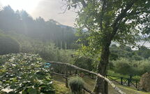 Bild vorgelegt von den Gästen von Villa Flora 