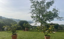 Bild vorgelegt von den Gästen von Villa Flora 