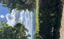 Bild vorgelegt von den Gästen von Casolare Ser Chelino 