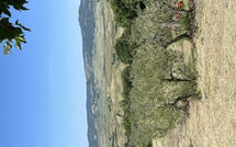 Bild vorgelegt von den Gästen von Casolare Ser Chelino 