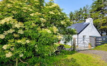 Bild vorgelegt von den Gästen von The Cottage 