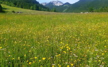 Bild vorgelegt von den Gästen von Chalet Bodental 28 