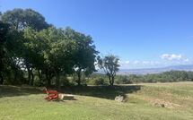 Bild vorgelegt von den Gästen von Villa Il Troscione 