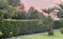 Bild vorgelegt von den Gästen von Cala Marina 