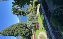 Bild vorgelegt von den Gästen von Gianni 