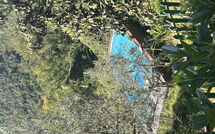 Bild vorgelegt von den Gästen von Il Castagneto 