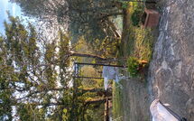 Bild vorgelegt von den Gästen von La Casina del Bosco 