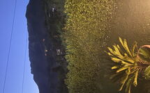 Bild vorgelegt von den Gästen von Verde Versilia 