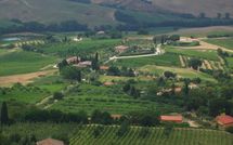Bild vorgelegt von den Gästen von Podere la Marronaia 