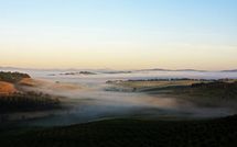 Bild vorgelegt von den Gästen von Podere Cunina 