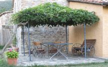 Bild vorgelegt von den Gästen von Casa la Primula 