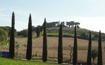 Bild vorgelegt von den Gästen von Villa Carolina 