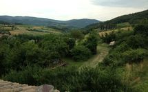 Bild vorgelegt von den Gästen von Casa Monica 