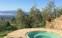 Bild vorgelegt von den Gästen von Villa Flora 