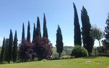 Bild vorgelegt von den Gästen von Casa Sabrina 