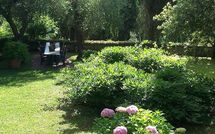 Bild vorgelegt von den Gästen von Tenuta Villa la Chiusa Schnautzer 