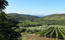 Bild vorgelegt von den Gästen von Agriturismo Concadoro 