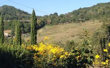 Bild vorgelegt von den Gästen von Villa Molinaccio 