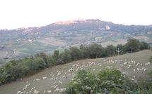 Bild vorgelegt von den Gästen von Villa Nibbiano 