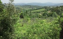 Bild vorgelegt von den Gästen von Villa Saladini 