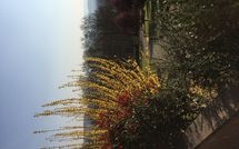 Bild vorgelegt von den Gästen von Casa Sabrina 