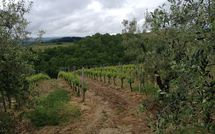 Bild vorgelegt von den Gästen von Massi 