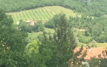 Bild vorgelegt von den Gästen von Palazzo Rosadi 