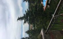 Bild vorgelegt von den Gästen von Maesta dei Mori 