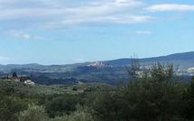 Bild vorgelegt von den Gästen von Villa Orchidea 