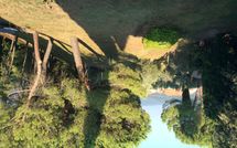 Bild vorgelegt von den Gästen von Spuntone 