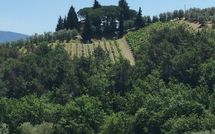 Bild vorgelegt von den Gästen von Villa Fabbiolle All'Impruneta 