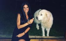 Bild vorgelegt von den Gästen von Villa Ardene 