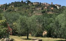 Bild vorgelegt von den Gästen von Villa Ardene 