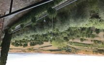 Bild vorgelegt von den Gästen von Loggia del Poggiolo 