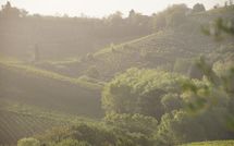 Bild vorgelegt von den Gästen von Agriturismo Paterno 