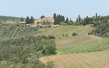 Bild vorgelegt von den Gästen von Fattoria di Quercia al Poggio 